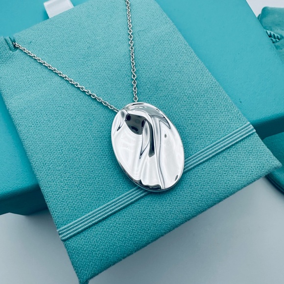 Tiffany & Co. | Jewelry | Tiffany Co Pure Silver Ag 00  Tiffany & Co. Pure Silver Ag 1000 Aquarius Zodiac Necklace 29” with PACKAGING
